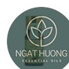Tinh dầu hương nhu Hoa Nén chính hãng, giá tốt