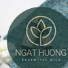 Tinh dầu hương nhu trắng Hà Na chính hãng, giá tốt