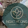 Tinh dầu thiên niên kiệu Hà Na chính hãng, giá tốt