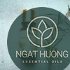 Tinh dầu tràm gió Hà Na chính hãng, giá tốt