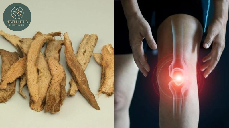 Cách dùng tinh dầu thiên niên kiệu