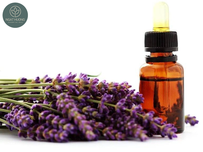 Lợi ích của tinh dầu hoắc hương với sức khỏe