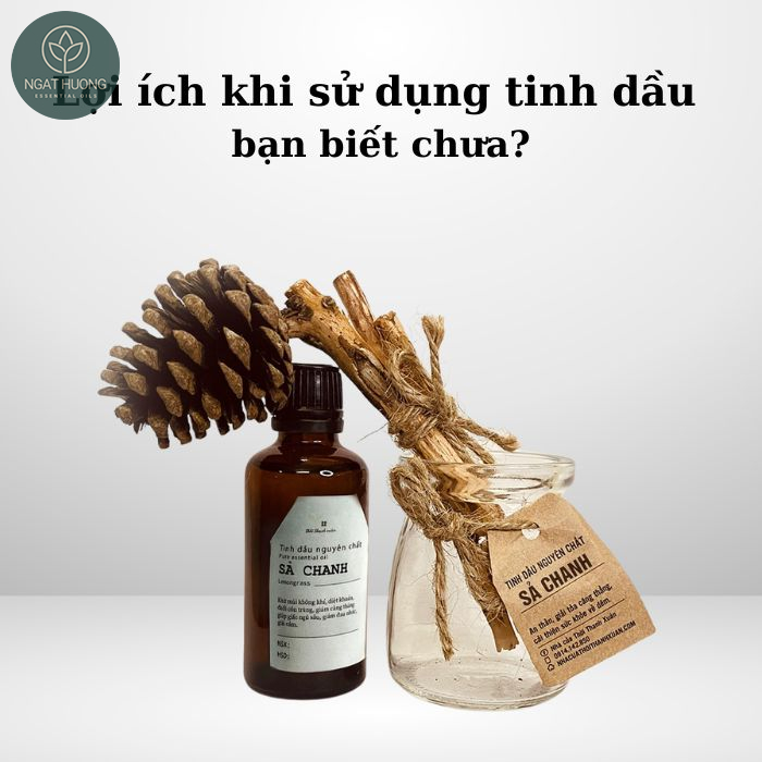 Lợi ich khi dùng tinh dầu với sức khỏe