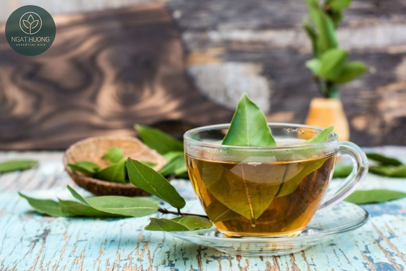 Phương pháp chiết xuất tinh dầu nguyệt quế