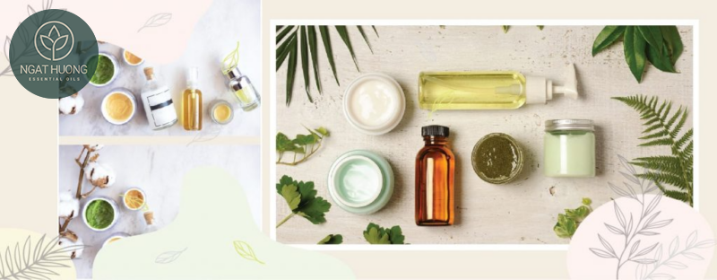 Thành phần của tinh dầu trầu không