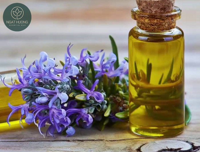 Tinh dầu hôn hợp Mangala tại Ngát Hương