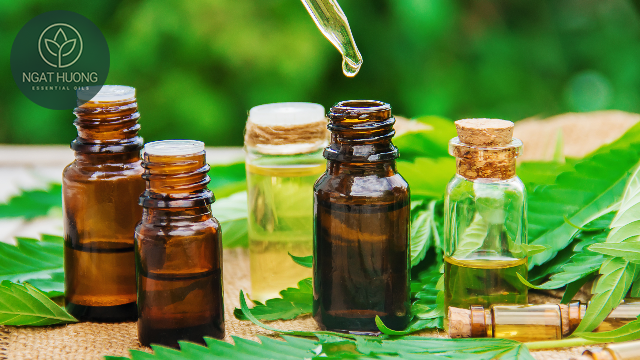 Tinh dầu công dụng hô hấp
