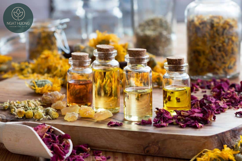 Tinh dầu hợp hương là gì
