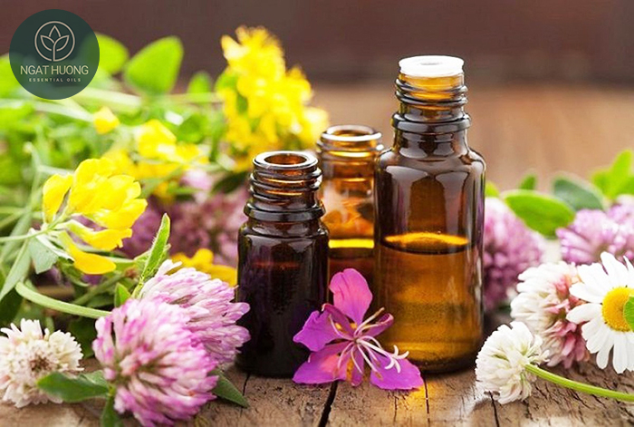 Tinh dầu sỉ phù hợp với đối tượng nào