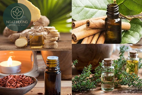 Mua tinh dầu các loại tại Ngát Hương